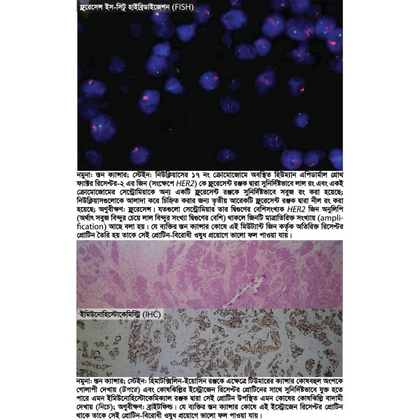 জীবকোষ তা নয় যা তুমি ভাবছো - সৌমিত্র চক্রবর্তী