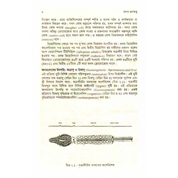 মানব ভ্রূণতত্ত্ব - ভূপতি ভূষণ বড়ুয়া