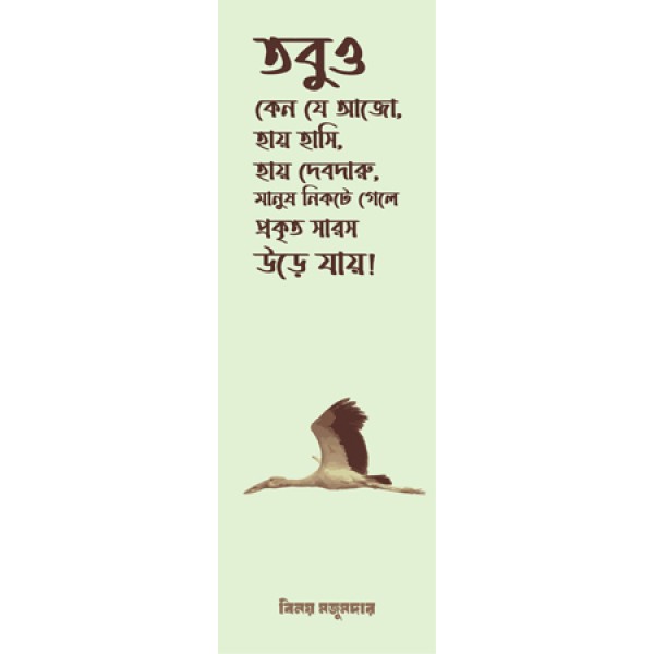 Binoy Majumdar