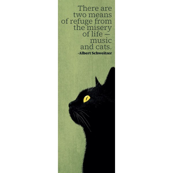 Albert Schweitzer 