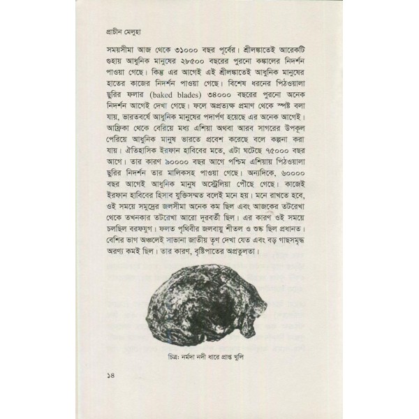 প্রাচীন মেলুহা: সিন্ধু সভ্যতার ইতিবৃত্ত - ফারসীম মান্নান মোহাম্মদী