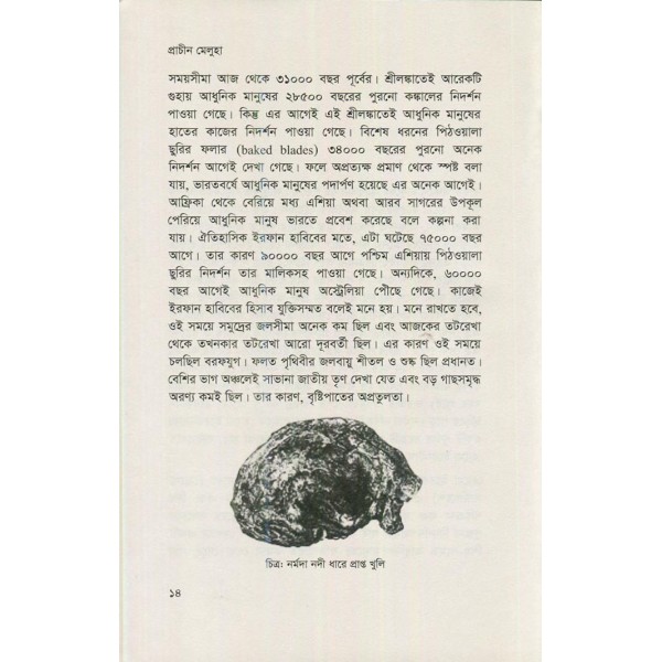 প্রাচীন মেলুহা: সিন্ধু সভ্যতার ইতিবৃত্ত - ফারসীম মান্নান মোহাম্মদী